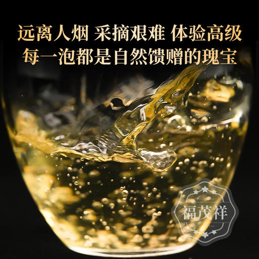 【2025年春茶预售】【麒麟王茶王】麒麟山秘境 20米高杆古树 2025年春茶云南勐海茶区麒麟山茶王树古树纯料普洱茶生茶饼357g 商品图2