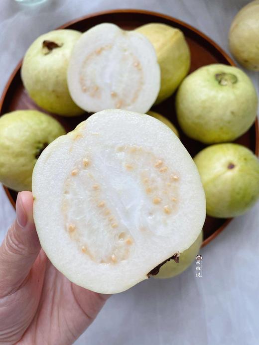 【冰淇淋奶油芭乐】周日（9.14）上午10点开始 软糯香甜 自带菠萝甜香味  现摘现发-CC 商品图1