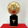 幸运金球 中国国家女子足球队官方纪念版 商品缩略图1