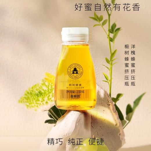 森蜂园 蜂蜜挤压装250g（洋槐/椴树） 商品图0