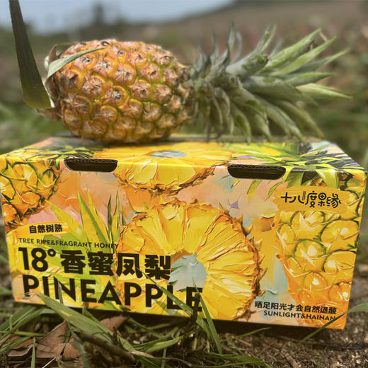 海南金钻凤梨  树上自然熟 商品图11