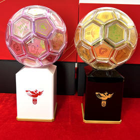 幸运金球 中国国家女子足球队官方纪念版