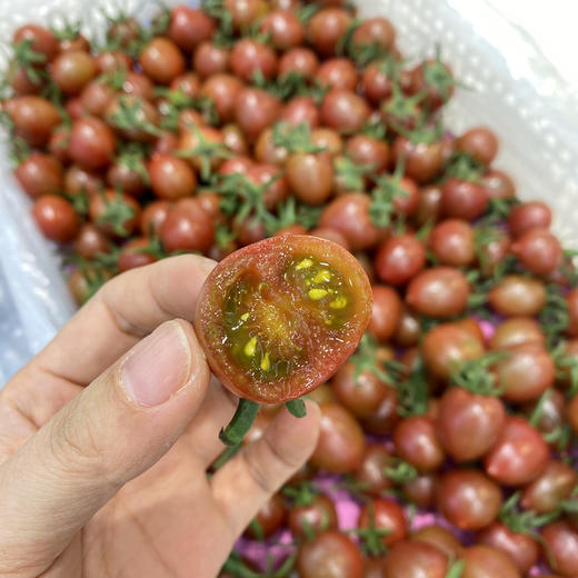 Sc紫番茄19.8一斤 商品图2