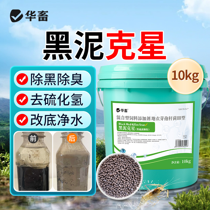华畜黑泥克星（粪硫菌颗粒）10kg除黑除臭去硫化氢改底净水