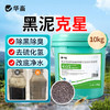 华畜黑泥克星（粪硫菌颗粒）10kg除黑除臭去硫化氢改底净水 商品缩略图0