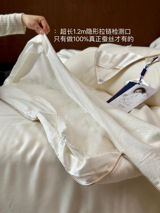 【双旦秒杀】自然醒100%蚕丝被玻尿酸提花蚕丝中长丝夏凉被手工春秋被空调被芯蚕丝冬被CY（不参与优惠券） 商品图3