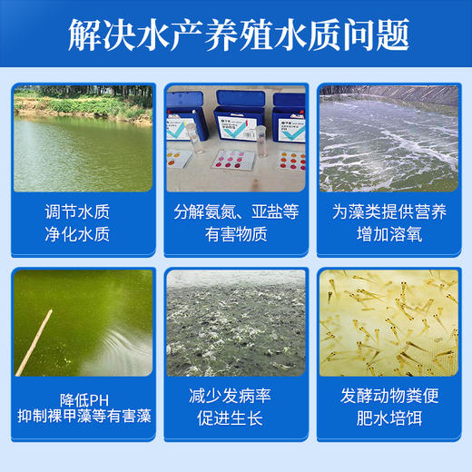 华畜EM益生菌浓缩粉500g 调节水质祛除油膜 复合菌种产气更强 商品图2