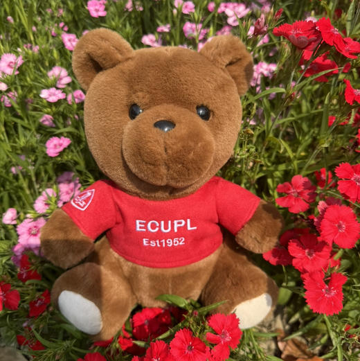 新款华政小熊（精品） 商品图0