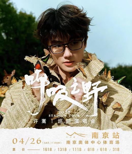 许嵩南京演唱会直通车 商品图0