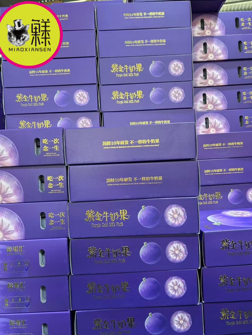奇珍异果～海南牛奶果（6-8枚装）顺丰包邮 商品图9