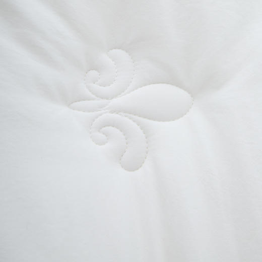 【春上新】10楼 安睡宝 全棉A类大豆七孔深睡春秋被 吊牌价999-1299元 活动价279-399元 商品图2