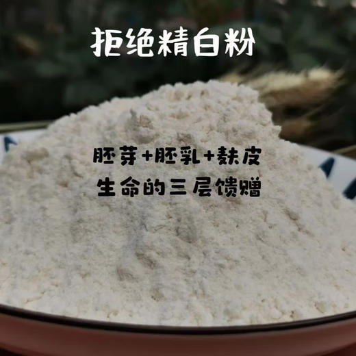 【下单后48-72小时发货】生态卷饼300g左右*2袋 商品图9