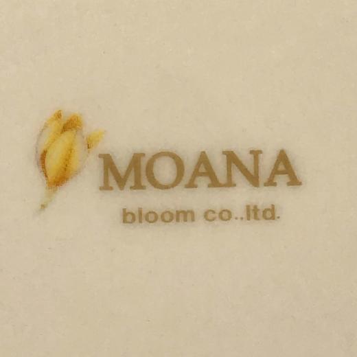 日本MOANA彩绘白瓷沙拉碗 2件装 原盒保留 商品图6