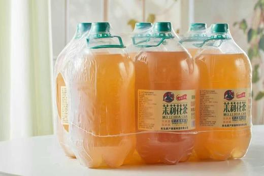 百年青茶啤一箱 商品图1