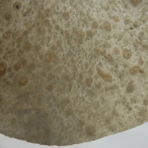 【下单后48-72小时发货】生态卷饼300g左右*2袋 商品图7