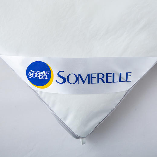 【春上新】10楼 安睡宝 全棉A类大豆七孔深睡春秋被 吊牌价999-1299元 活动价279-399元 商品图3