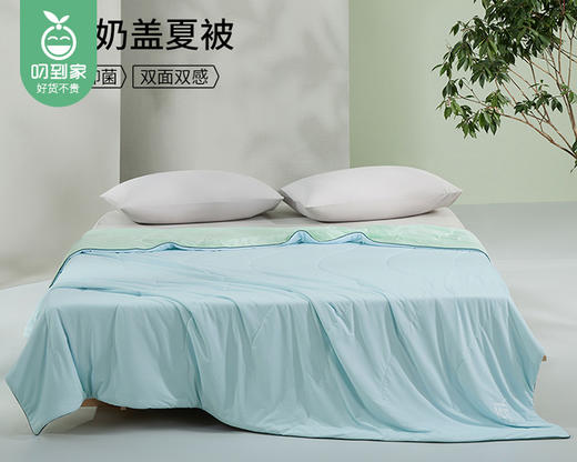 佳丽斯冰茶奶盖夏被（东风苍兰）/1件（150*230cm，填充物重约330g） 商品图1