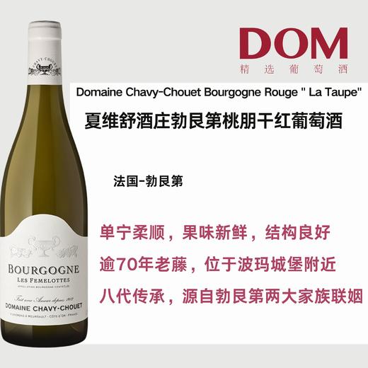 夏维舒酒庄勃艮第桃朋干红葡萄酒  Domaine Chavy-Chouet Bourgogne Rouge " La Taupe" 商品图0