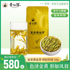 2025年春茶尝鲜 黄红缨瓮安黄金芽特级50g简装