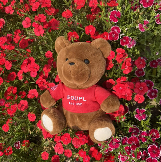 新款华政小熊（精品） 商品图1