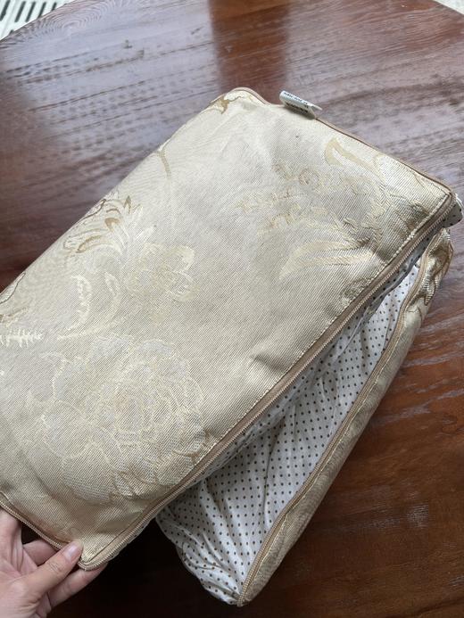 洛诗琳定制款冰丝抱枕被子两用午睡办公室单人折叠空调被二合一 商品图4