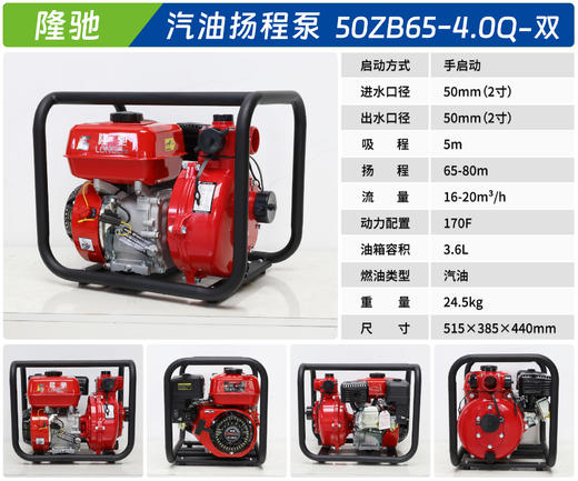 隆驰 50ZB65-4.0Q-双 商品图2