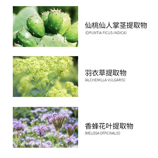 标婷莹润嫩肤洁面乳 商品图3