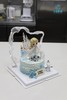 爱莎蛋糕（城堡插件款） 商品缩略图0