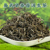 吉顺号2025年易武早春生茶古树普洱茶春茶蜜香型普洱散茶250克/盒 商品缩略图1