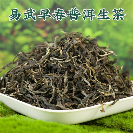 吉顺号2025年易武早春生茶古树普洱茶春茶蜜香型普洱散茶250克/盒 商品图1
