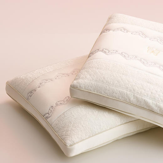 自然醒蕾丝复合蚕丝枕五星级酒店专用护颈椎助睡眠家用一对枕头芯蝴蝶绣花女生睡觉舒适XK 商品图10