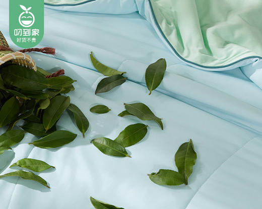 佳丽斯冰茶奶盖夏被（东风苍兰）/1件（150*230cm，填充物重约330g） 商品图3