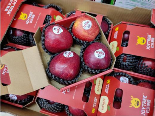 红佳丽苹果一盒 商品图1