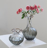 碧轩新品渐变落地玻璃花瓶花插摆件水培花器工艺品 商品缩略图0