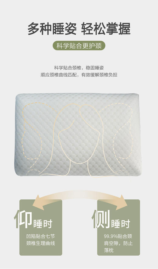 【春上新】10楼 安睡宝 静舒五星级酒店记忆绵枕芯40*70*10cm 吊牌价1199元-2398元 活动价229元/只 399元/对 商品图3