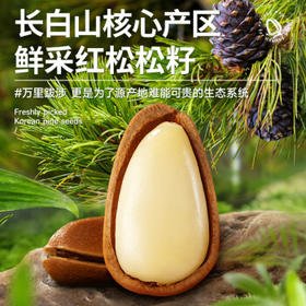 三只松鼠东北松子 手剥开口每日坚果炒货干果家庭休闲零食100g/袋