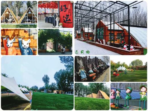 【3H公益时长】好事花生+秋收课堂-收花生喽+自然美育-花生酥+创意课堂-趣味花生壳+环保课堂-种子炸弹！ 商品图2