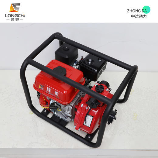 隆驰 50ZB65-4.0Q-双 商品图6