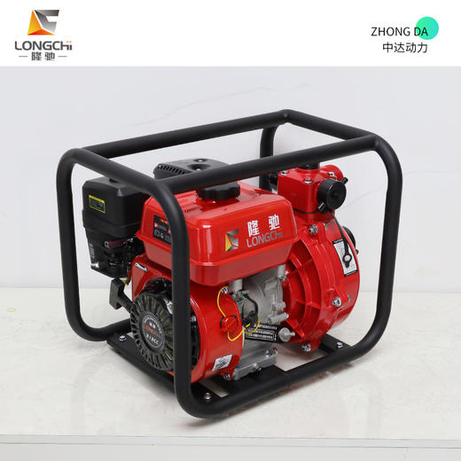 隆驰 50ZB65-4.0Q-双 商品图0