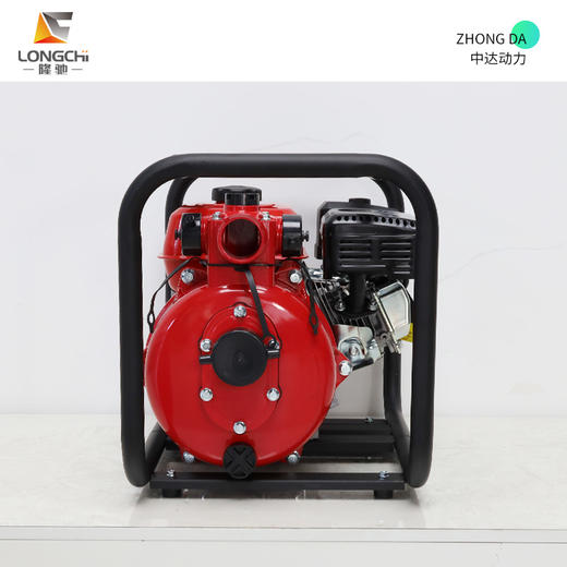 隆驰 50ZB65-4.0Q-双 商品图5