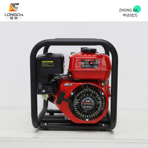 隆驰 50ZB65-4.0Q-双 商品图3