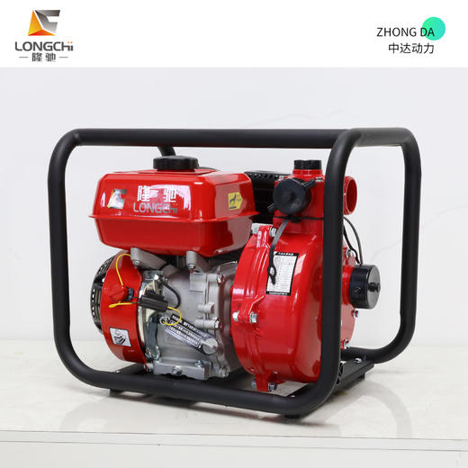 隆驰 50ZB65-4.0Q-双 商品图8