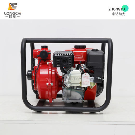 隆驰 50ZB65-4.0Q-双 商品图4