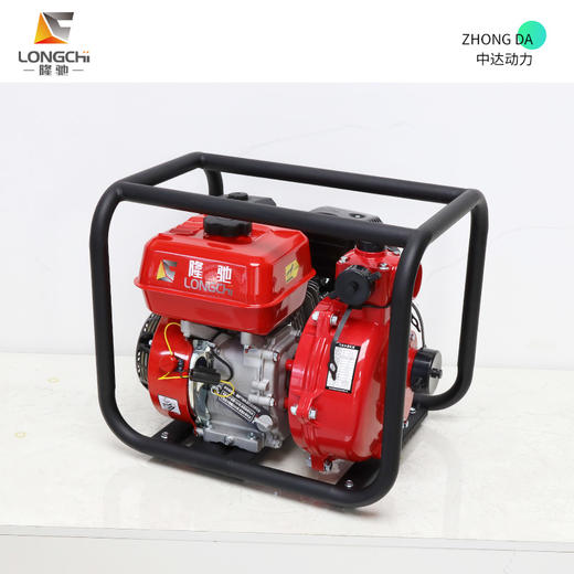 隆驰 50ZB65-4.0Q-双 商品图1