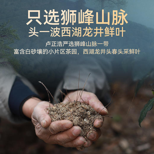 2026年新茶上市【卢字纸包】卢正浩卢字狮峰山明前精品级西湖龙井绿茶茶叶150克绿茶茶叶 商品图7