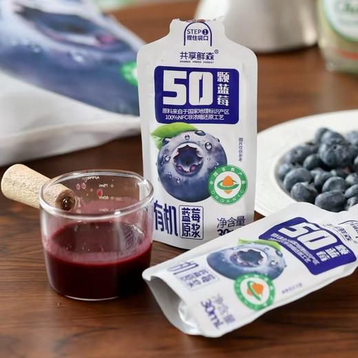 【养生臻选】共享鲜森有机蓝莓原浆 有机认证蓝莓 不加1滴水 不额外添加蔗糖 整果低温冷榨 颗颗细磨 超浓稠每天一袋 补充花青素和VC 商品图0