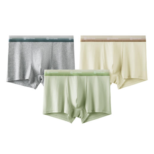 芬腾纯棉内裤男款夏季冰丝抗菌裆平角裤青年运动透气大码四角短裤 商品图4