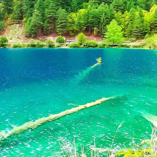 五一5天【甘南九寨 立减80元】九色甘南の九寨沟-黄龙-寻找美丽的香巴拉 商品图2