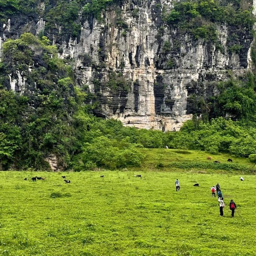 五一4天【徒步湘西 立减50元】湘西小众徒步秘境の槟榔谷-借母溪-坐龙峡 商品图2