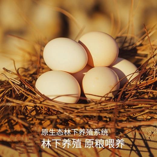 江西泰和乌鸡（400天日龄母鸡）顺丰快递 商品图7